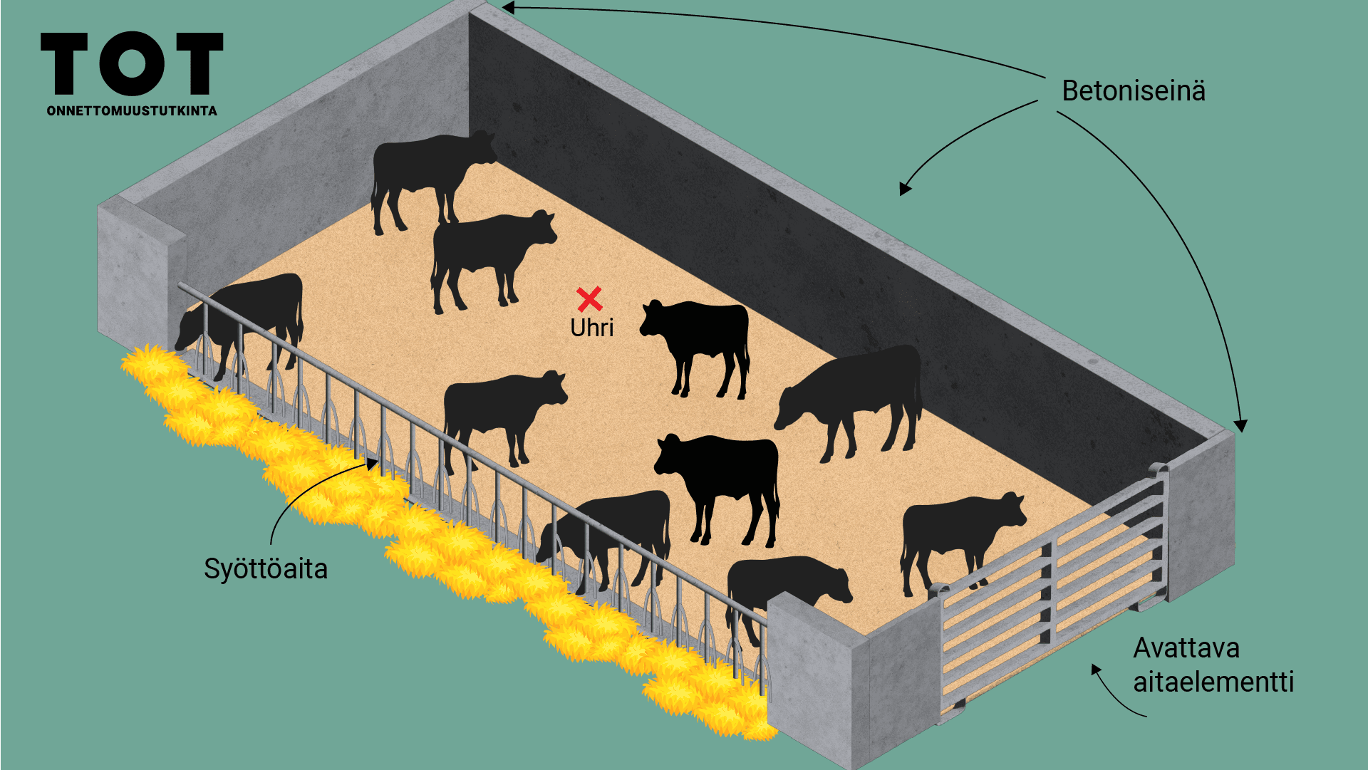 Kuvassa karsinan rakenne kuvattuna, siellä olleet 10 sonnia ja merkittynäyrittäjän arvioitu sijainti onnettomuushetkellä