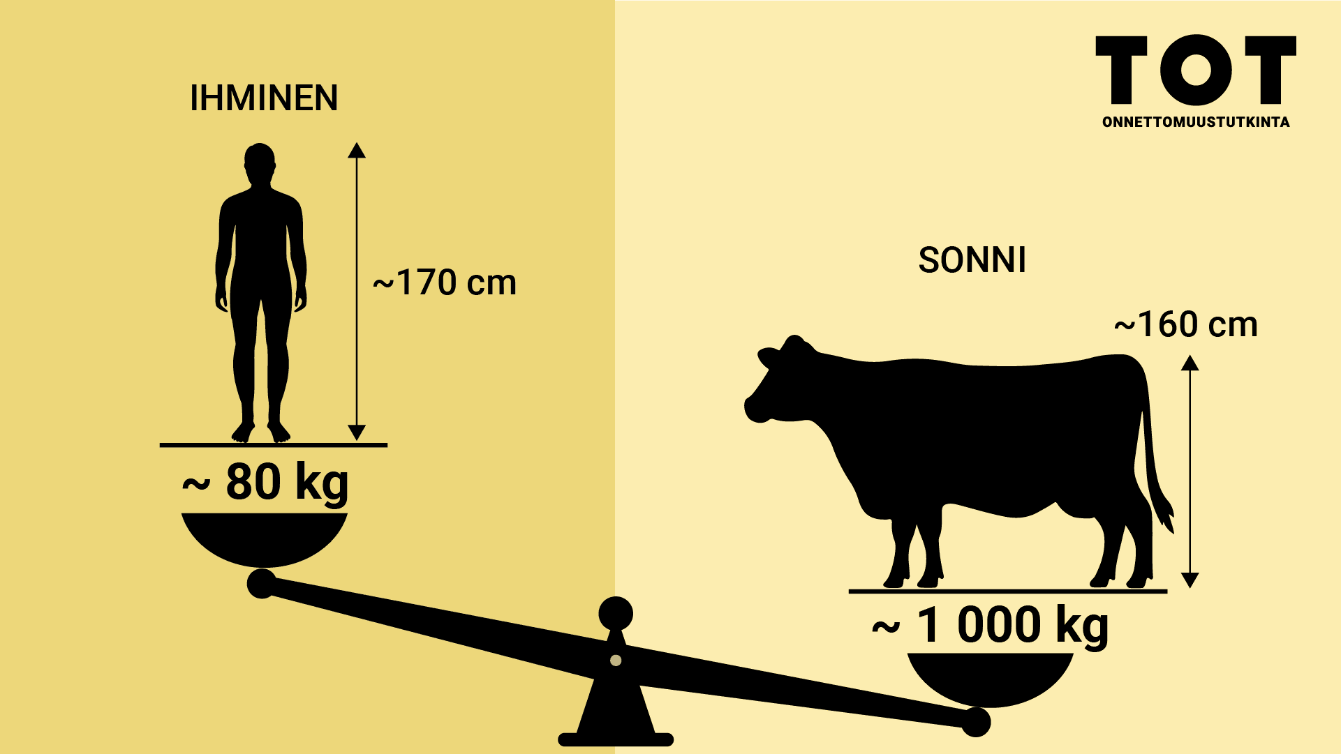 Ihminen ja sonni. Ihmisen keskipaino 80 kg ja pituus 170 cm. Sonnin paino 1000 kg ja korkeus 160 cm